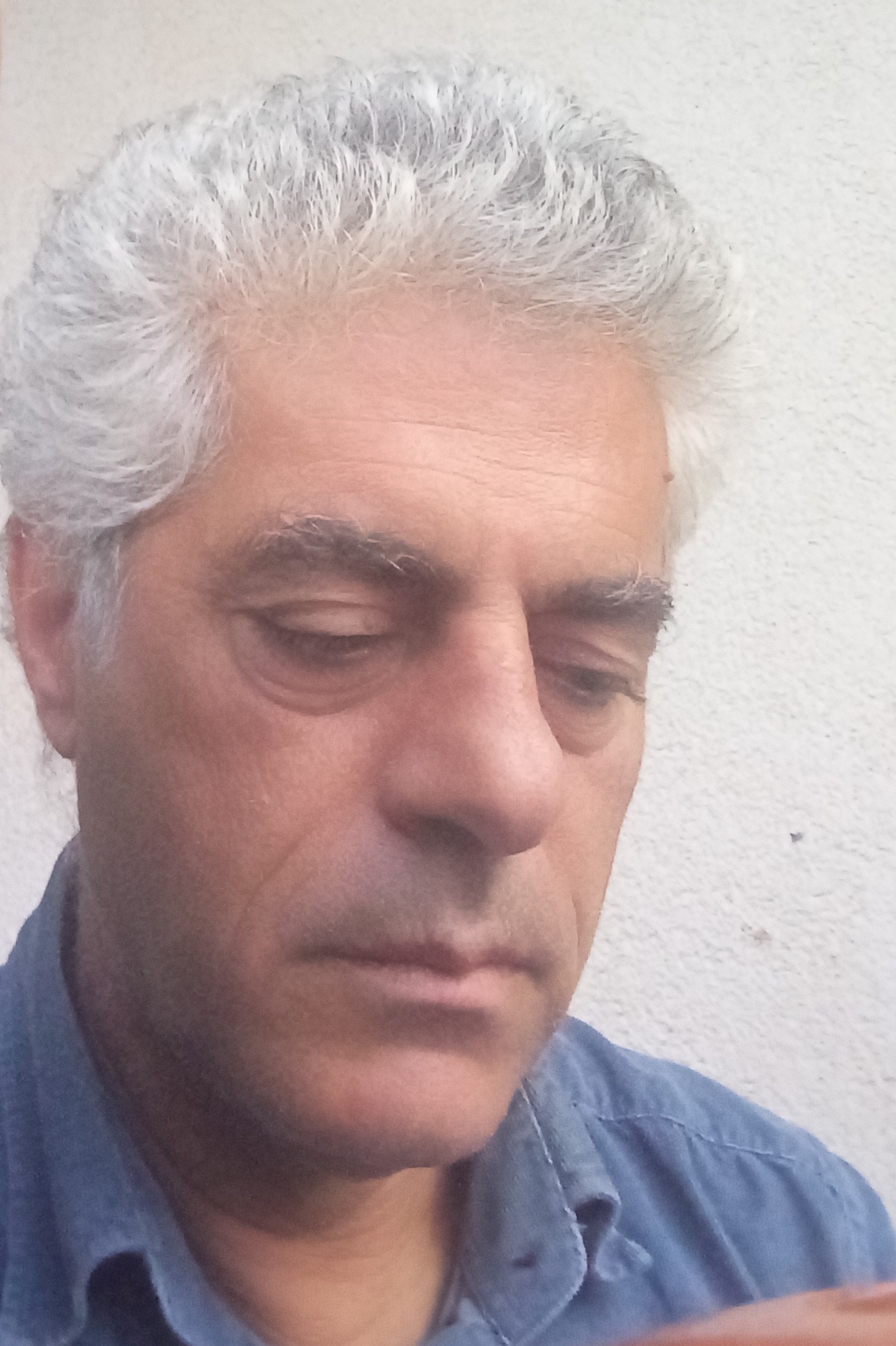 SERDAR PALA