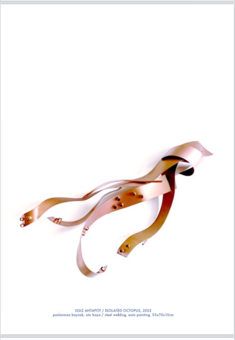 ISSIZ AHTAPOT / ISOLATED OCTOPUS