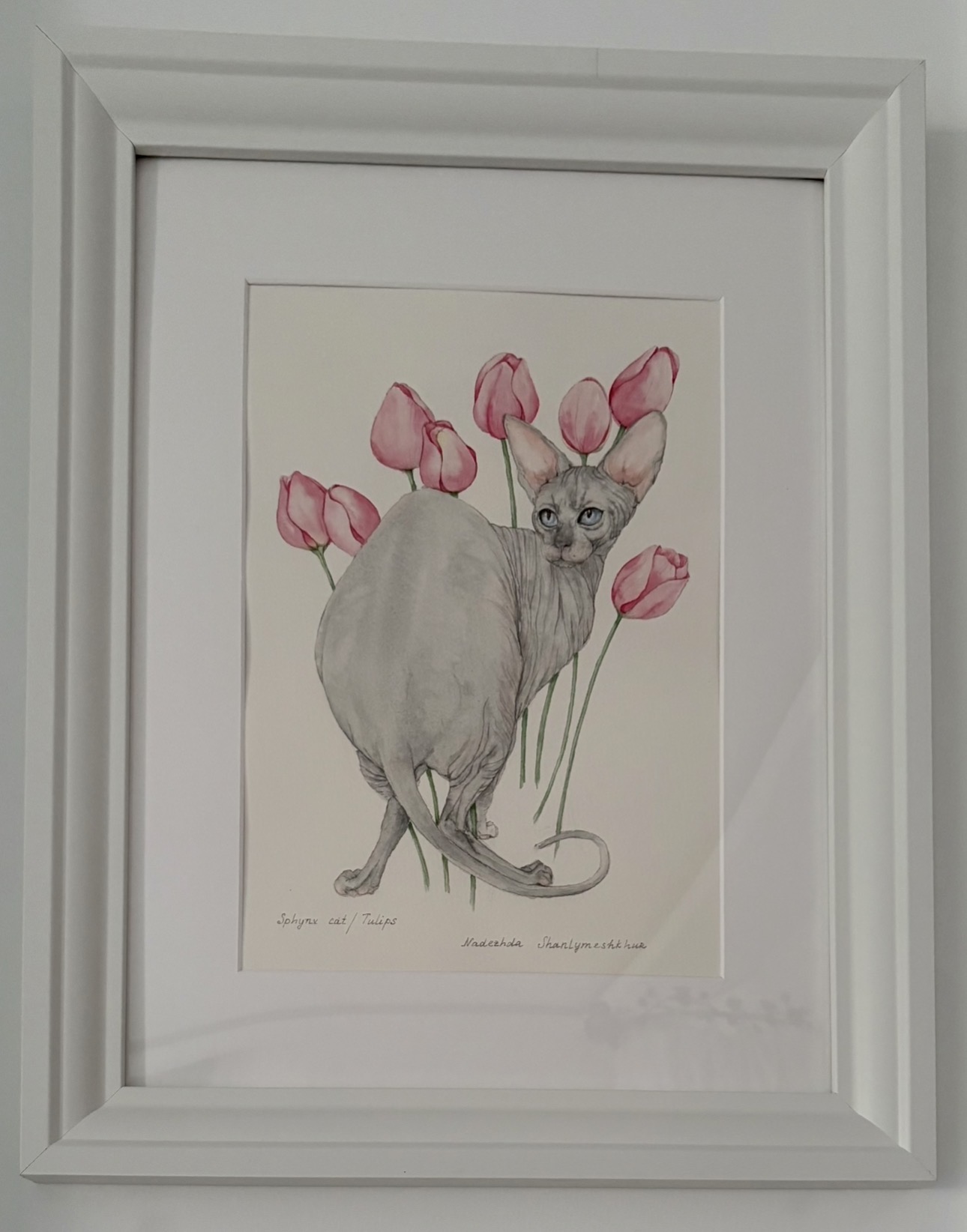 SPHYNX CAT/TULİPS
