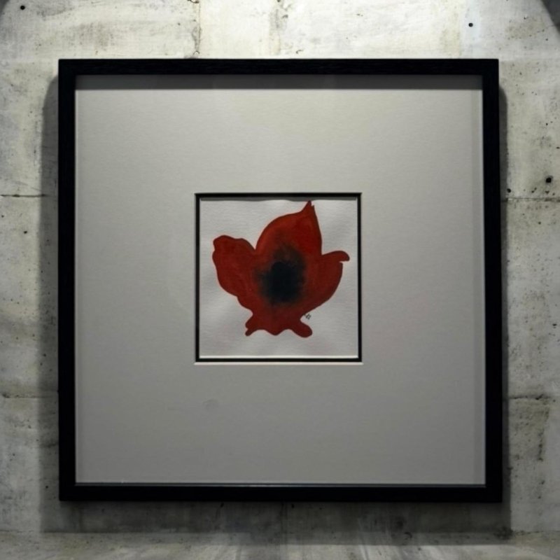 Poppy Flower 