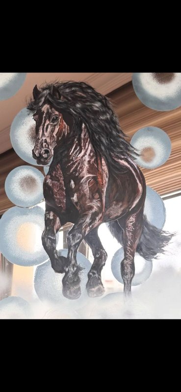 SERİE :”HORSES” NAME OF ART:”ALFA”